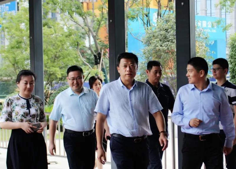 合肥市蜀山區委書記葛斌一行深入新華控股集團調研指導
