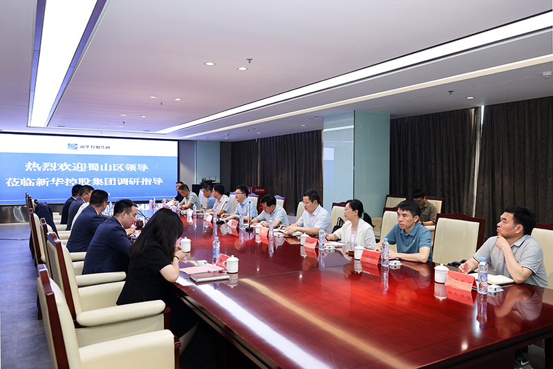 合肥市蜀山區(qū)委副書記、區(qū)長楊森一行深入新華控股集團調研指導